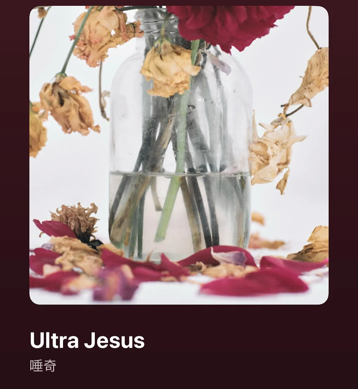 【彼のアルバムを8年待ち望んでおりました🥲】